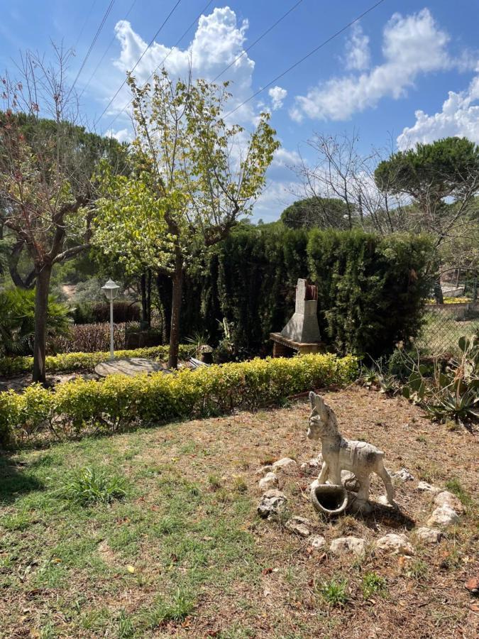 Villa Herlinda Costa Brava - With Swiming Pool Massanet De La Selva Extérieur photo