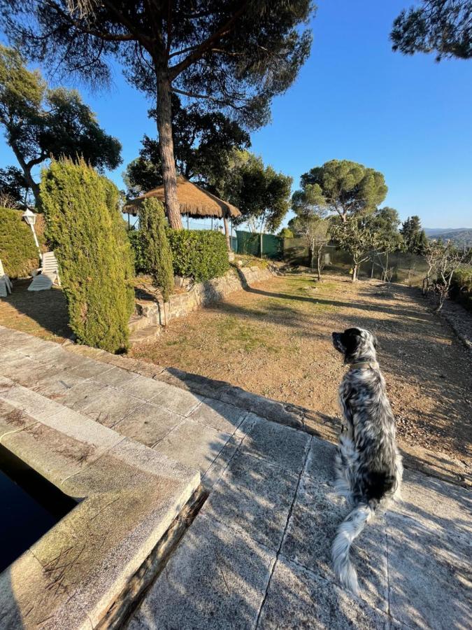 Villa Herlinda Costa Brava - With Swiming Pool Massanet De La Selva Extérieur photo
