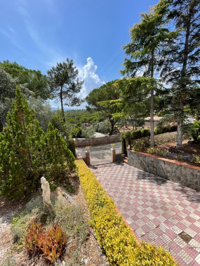 Villa Herlinda Costa Brava - With Swiming Pool Massanet De La Selva Extérieur photo