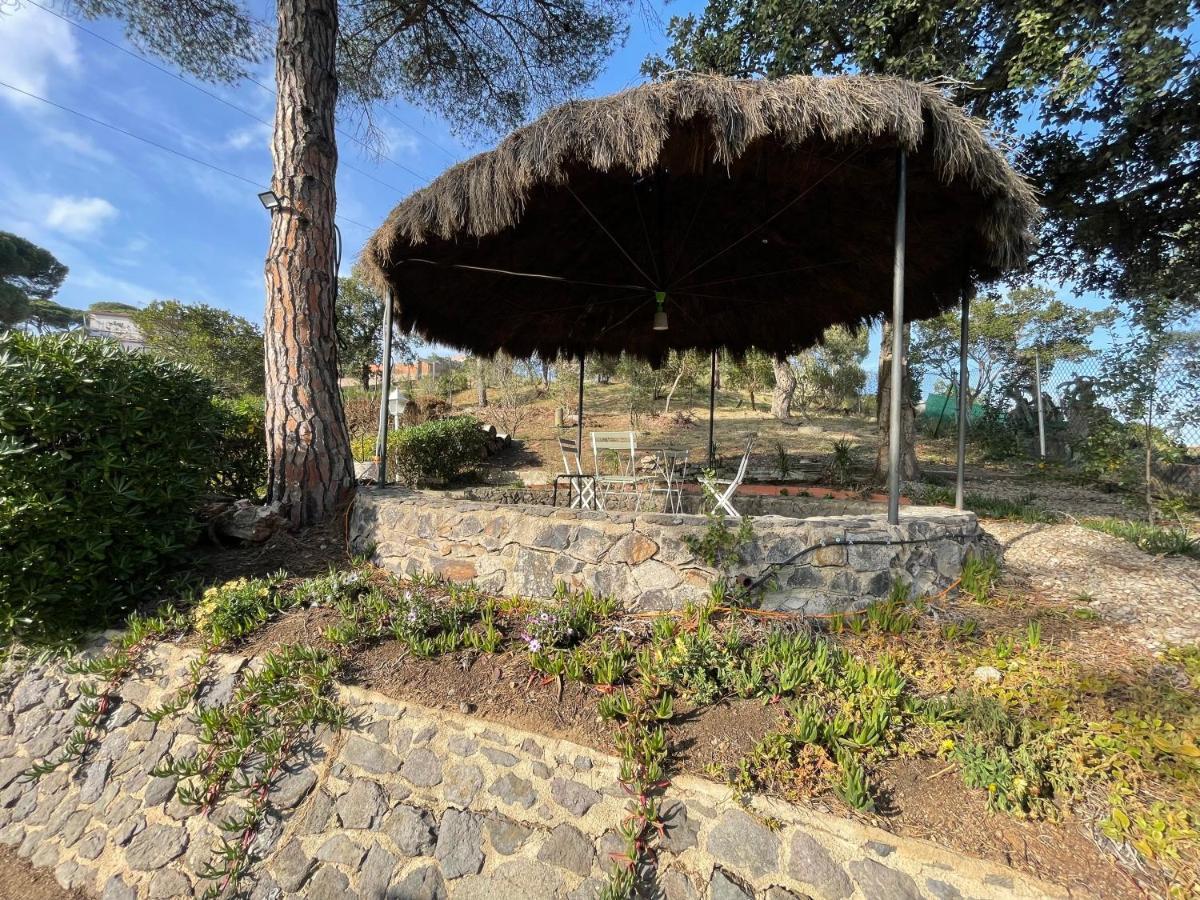 Villa Herlinda Costa Brava - With Swiming Pool Massanet De La Selva Extérieur photo